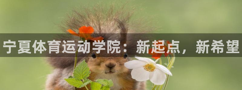 米兰体育官方正版app娱乐:宁夏体育运动学院:新起点,新希望