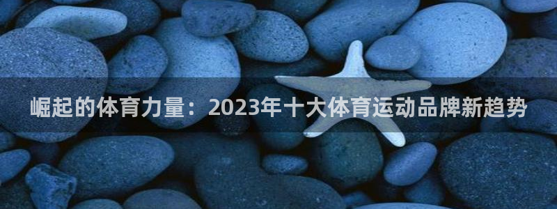 米兰体育官方正版app代理:崛起的体育力量:2023年十大体